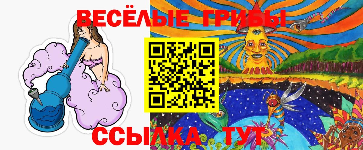 Галлюциногенные грибы мицелий  Вход с VPN  Энгельс  Галлюциногенные грибы мицелий 