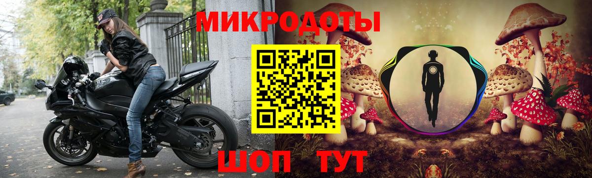 Галлюциногенные грибы Psilocybine cubensis Энгельс